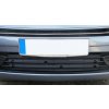 27171 5 zimni stit pro citroen c4 picasso original citroen clona chladice 7429f5