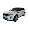 193171-4 Vana do kufru Land Rover Range Rover Evoque 2011-