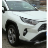 RAV 4 V