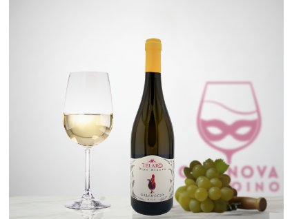 Telaro Falanghina Ripa Bianca
