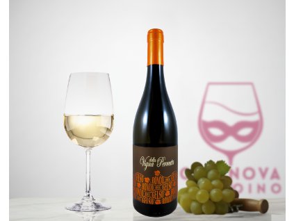 Ronco del Gelso Malvasia