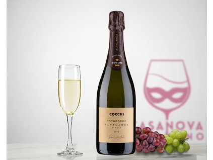 Alta Langa Totocorde Cocchi