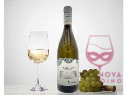 Belisario Verdicchio Cerro