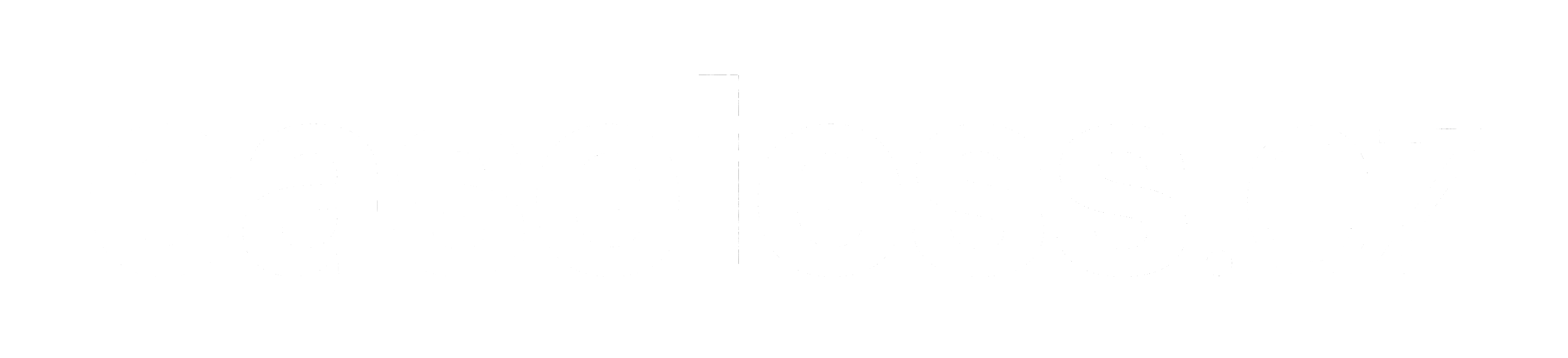 caseless.cz