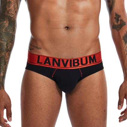 LANVIBUM METALLIC-BAY COMF bavlněné slipy, metalický pas