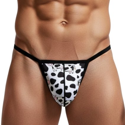 PopUp tanga GTOPX
