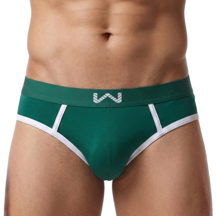 Návrh bez názvu (29)