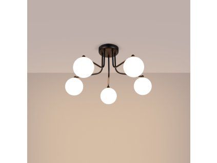23579 luster astral 5 cierny