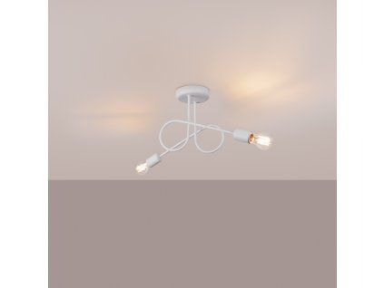 23174 luster loop 2 biely