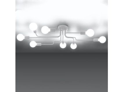 14564 luster vector 8 biely