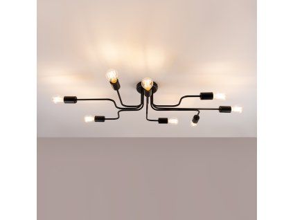 14576 luster vector 8 cierny