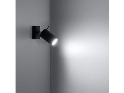 8223 nastenne svietidlo ring black a spinac