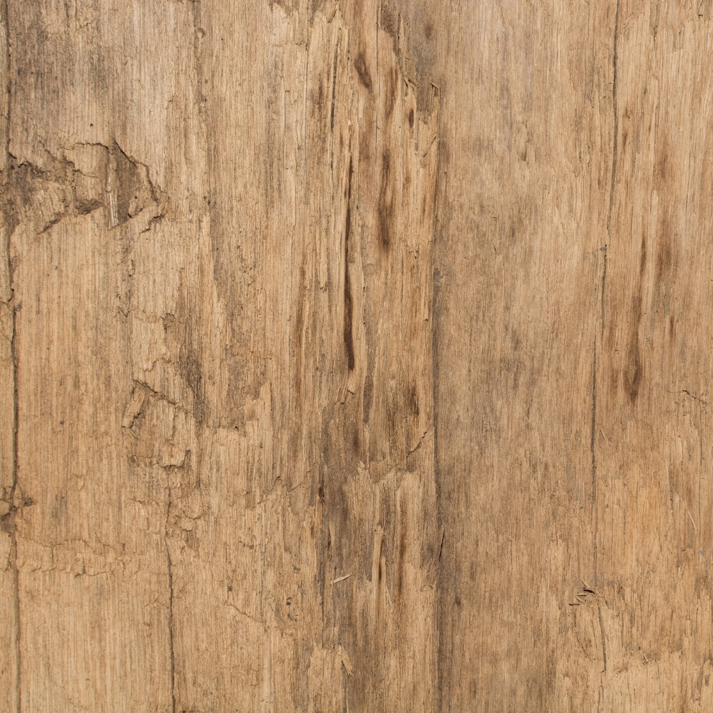 Drevo & dyha – náhľad