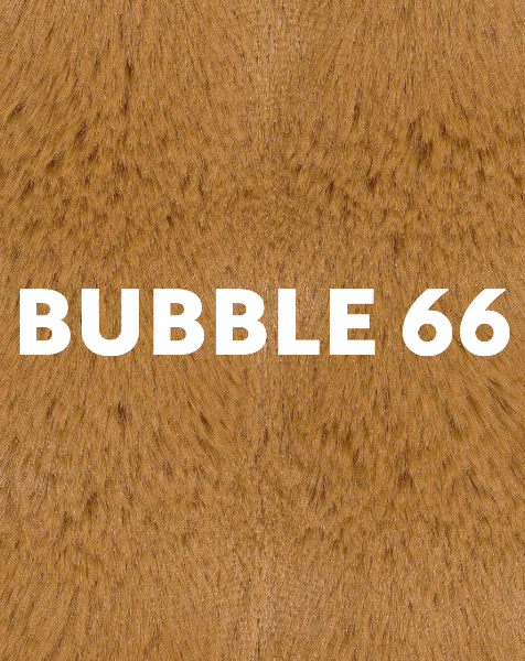 bubble66