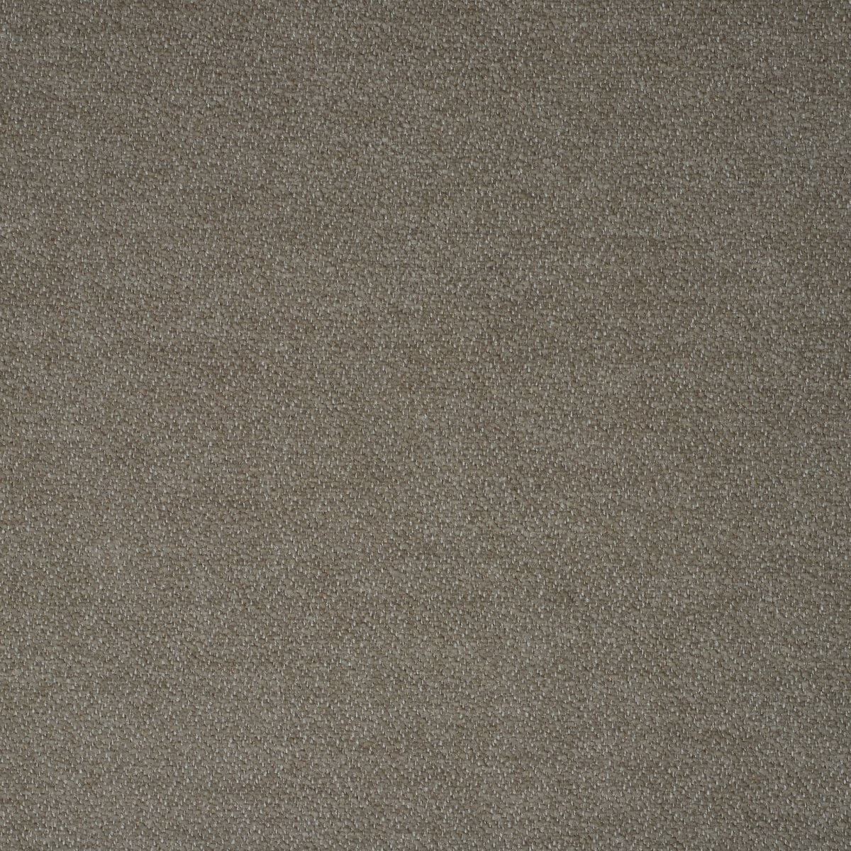 ditra-new-03