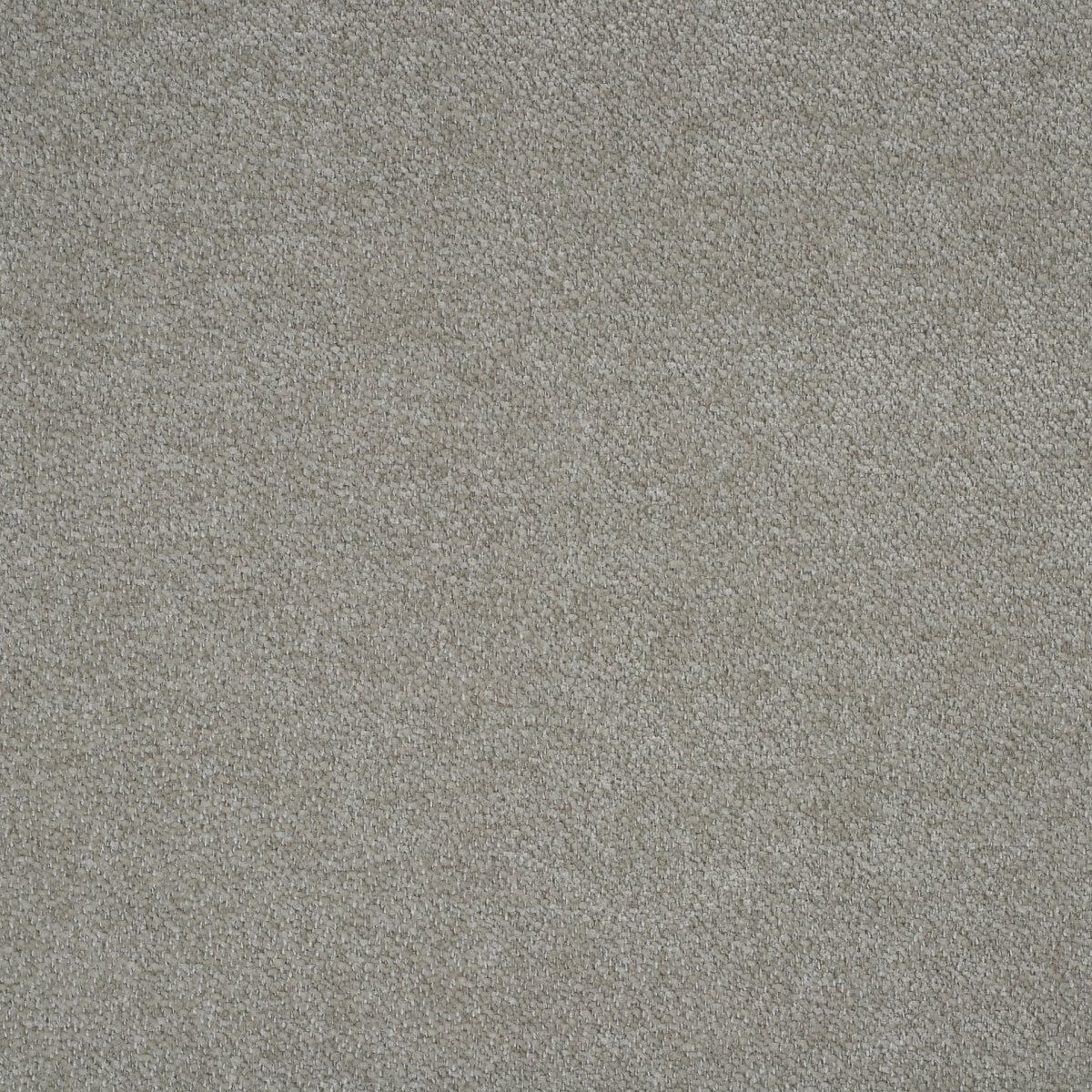 ditra-new-05