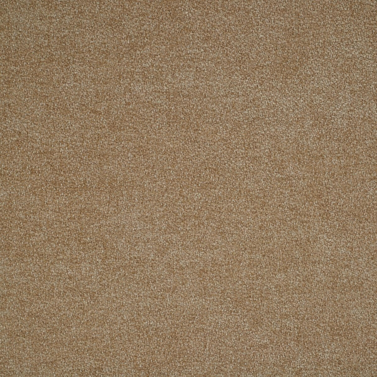 ditra-new-06