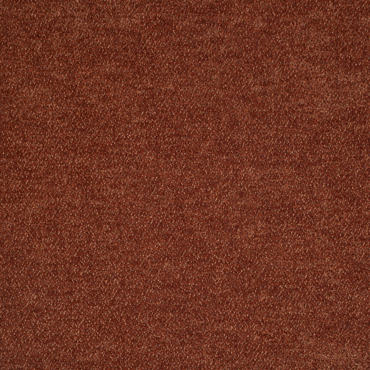 ditra-new-07