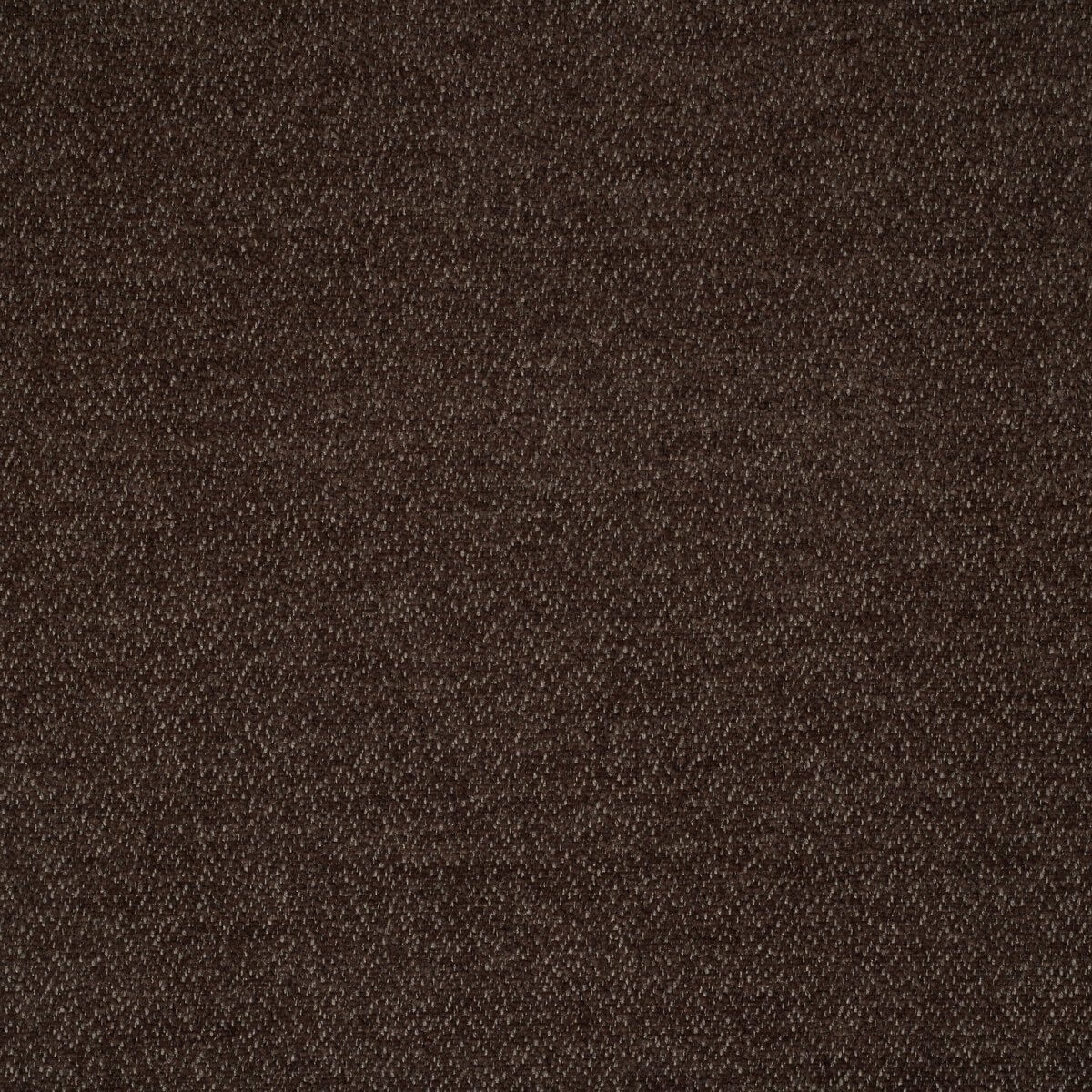 ditra-new-27