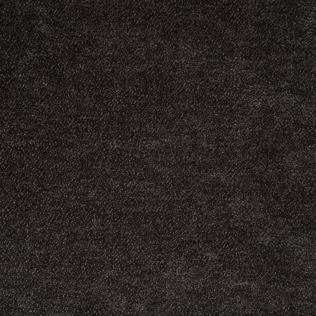 ditra-new-29