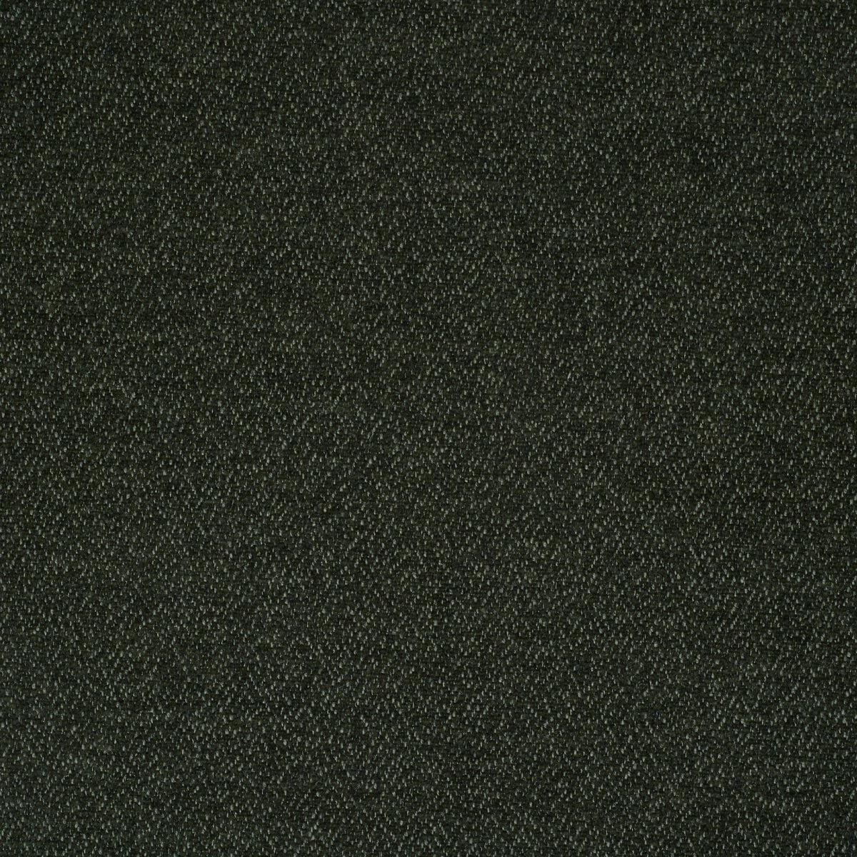 ditra-new-38