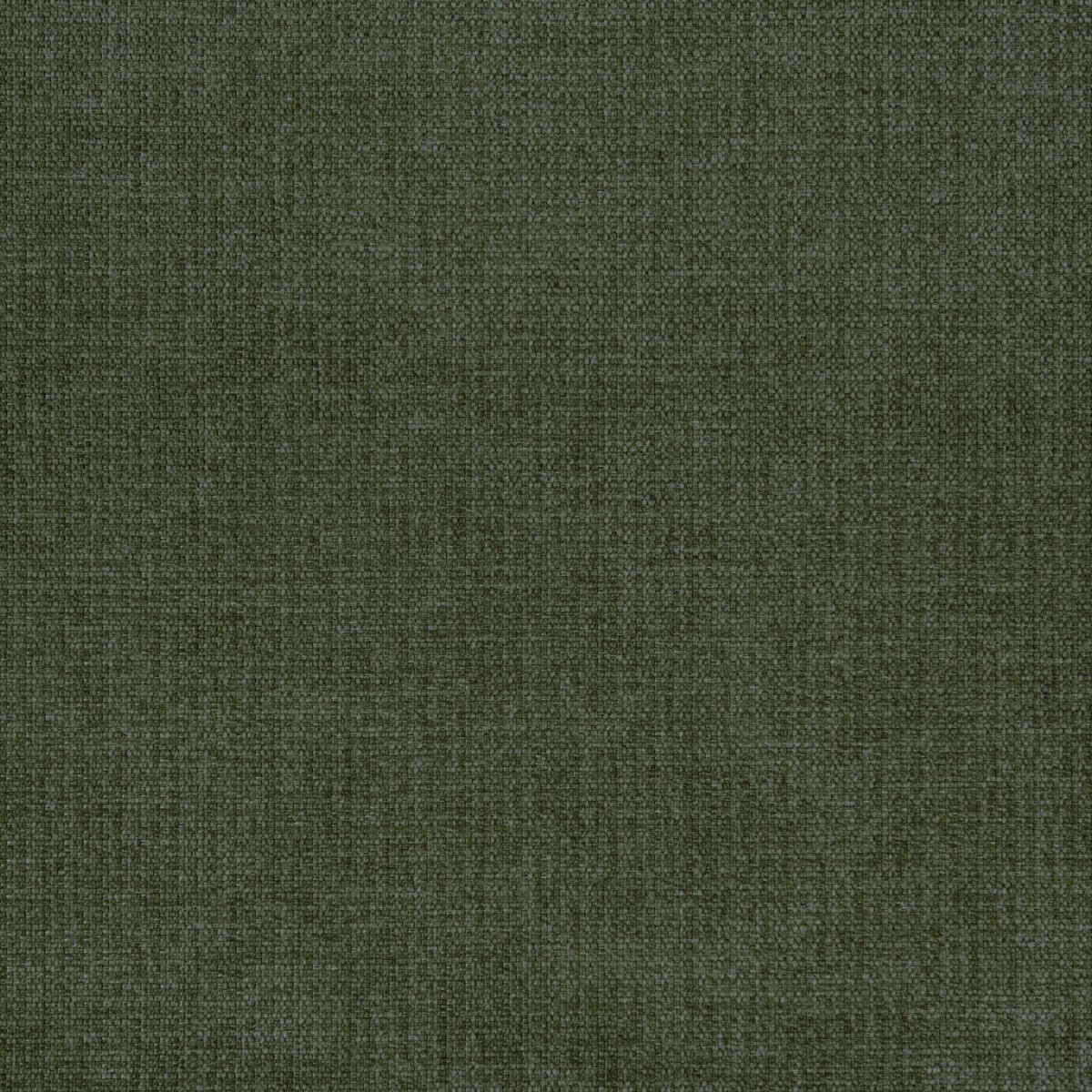 finn-36