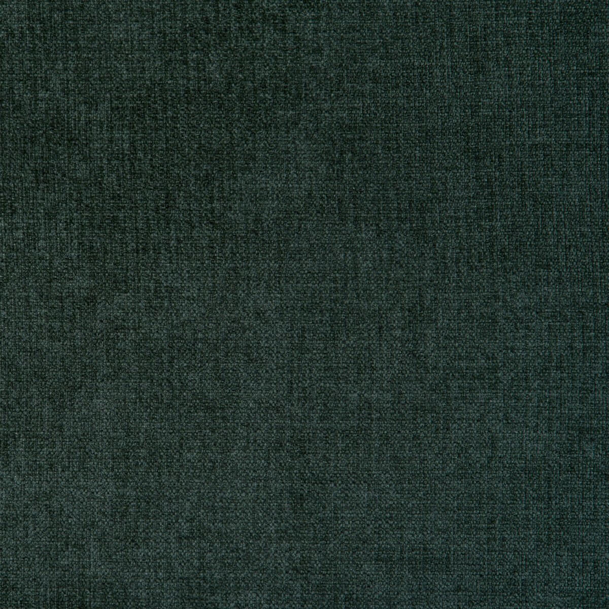 finn-39