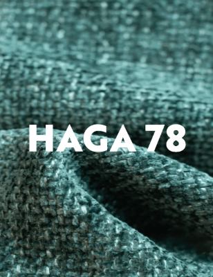 HAGA 10