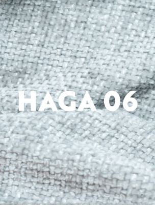 HAGA 13