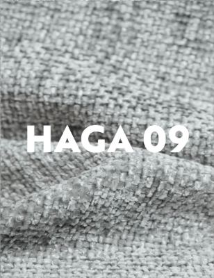 HAGA 14