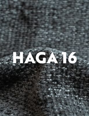 HAGA 15