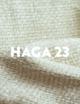 HAGA 2