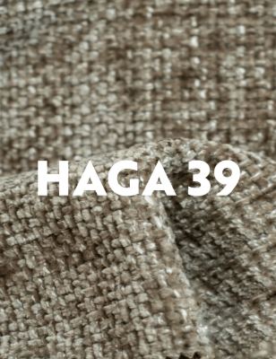 HAGA 3