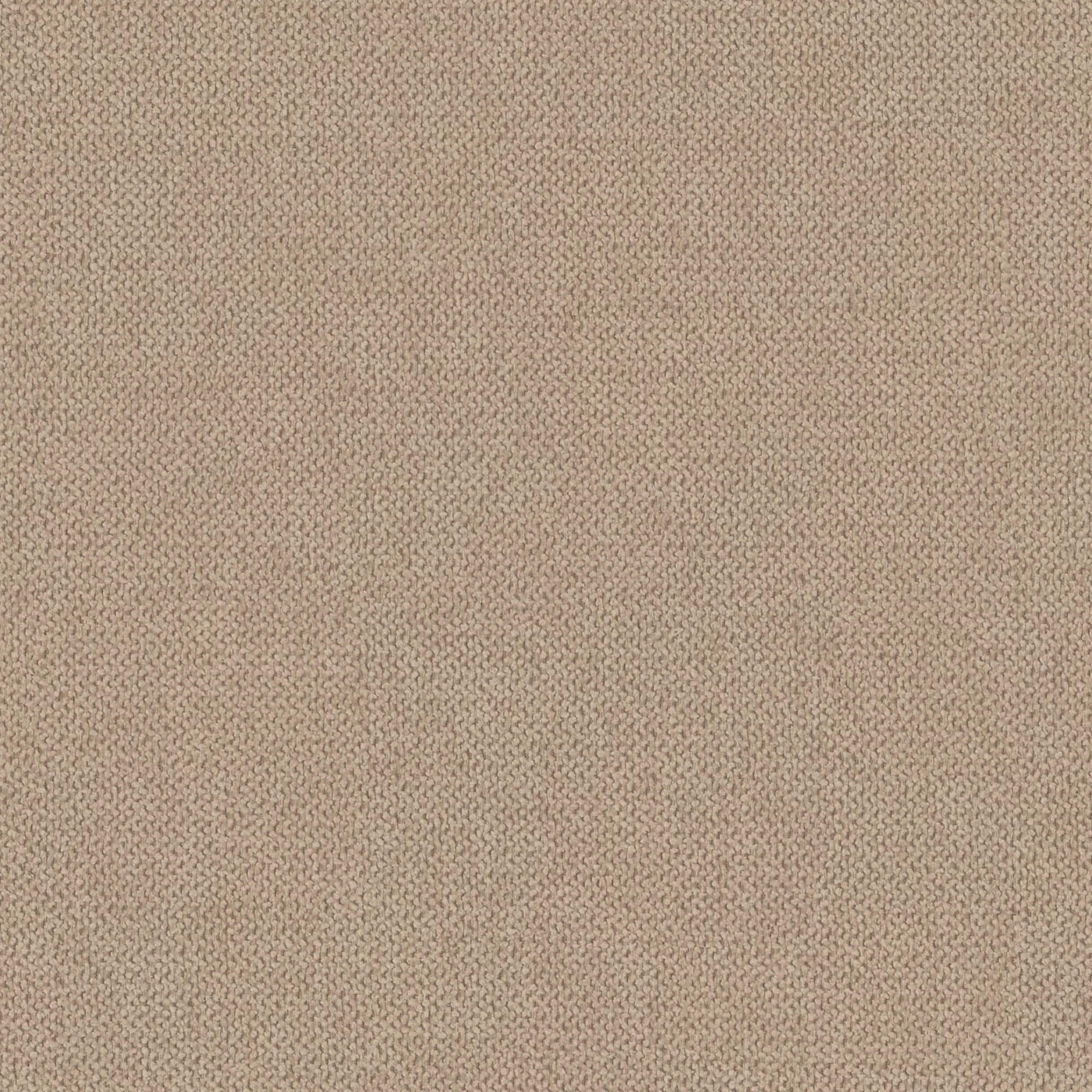 Soro 08
