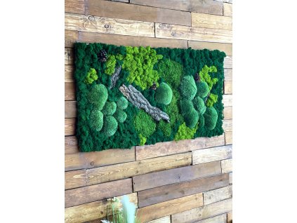 Machový obraz  kombinovaný bolmoss flat moss