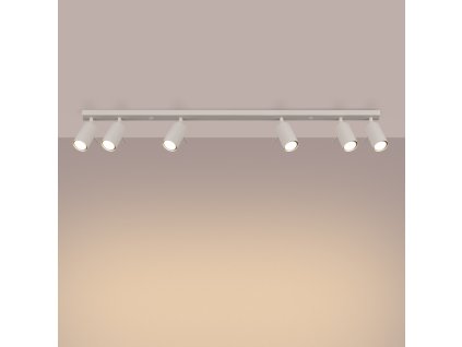 Stropné svietidlo RING 6L béžové