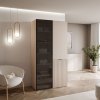 Šatníková skriňa ALISIA II kašmír + tmavé sklo 104 x 200 cm
