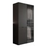Šatníková skriňa ALISIA čierna + sklo 104 x 200 cm