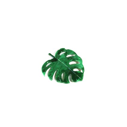 Brož Monstera středně velká
