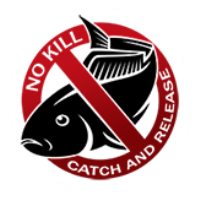 No Kill! Catch And Release