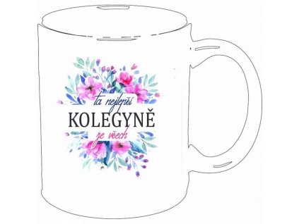 Hrnek 'Ta nejlepší KOLEGYNĚ ze všech'