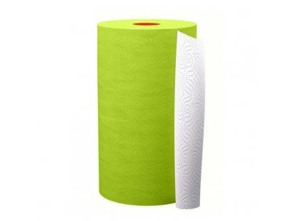 Barevné papírové utěrky (Barva Zelená)