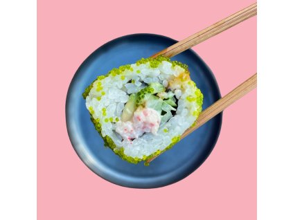 Kopie návrhu univerzální pracovní 2 (kopie 6)