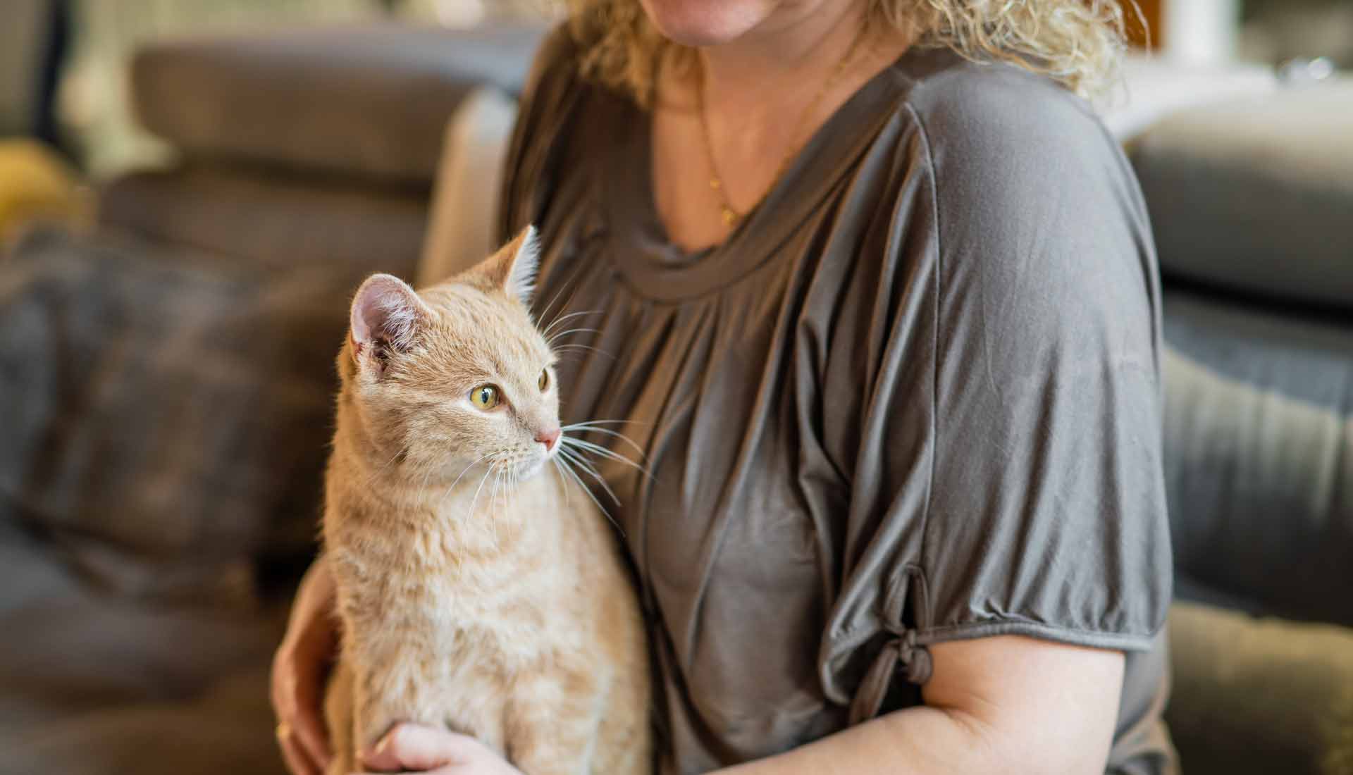 CatGenie SelfWashing, SelfFlushing Cat Litter Box