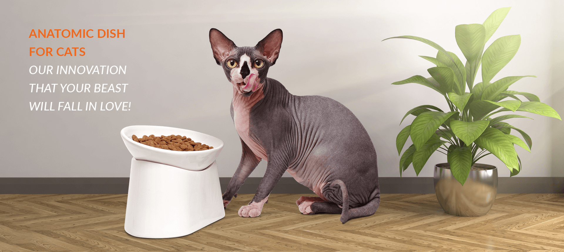 Anatomic dish for cats