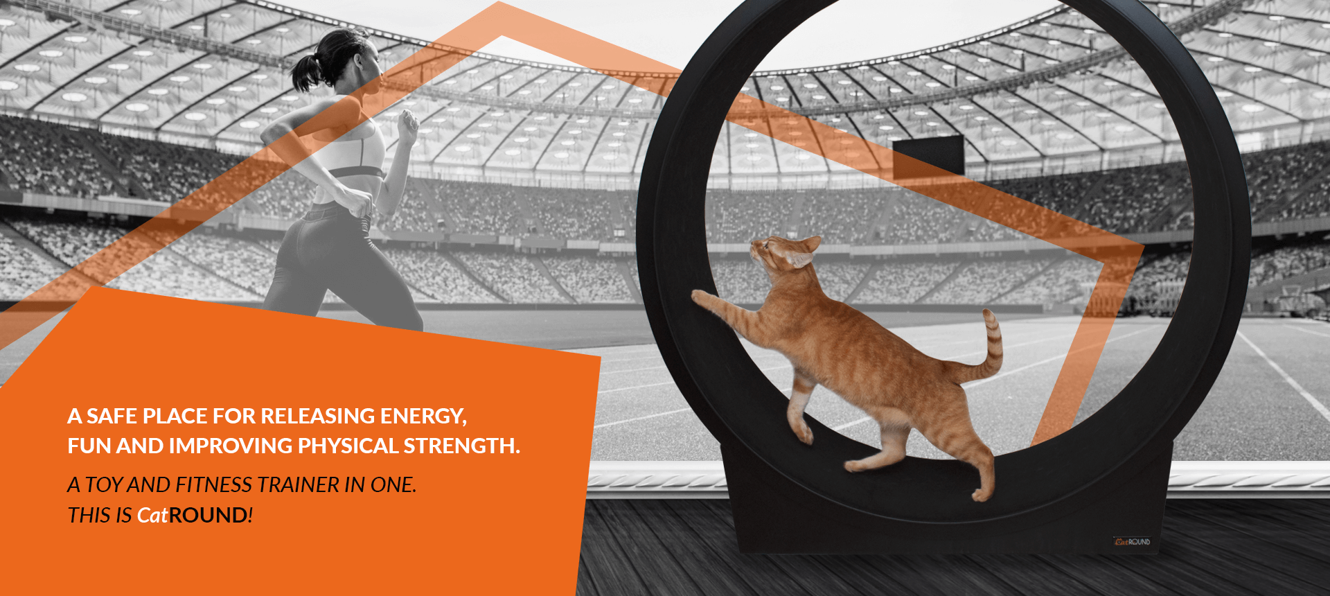 An exercise wheel for cats is a premium accessory for your pet, which ensures healthy movement combined with fun.