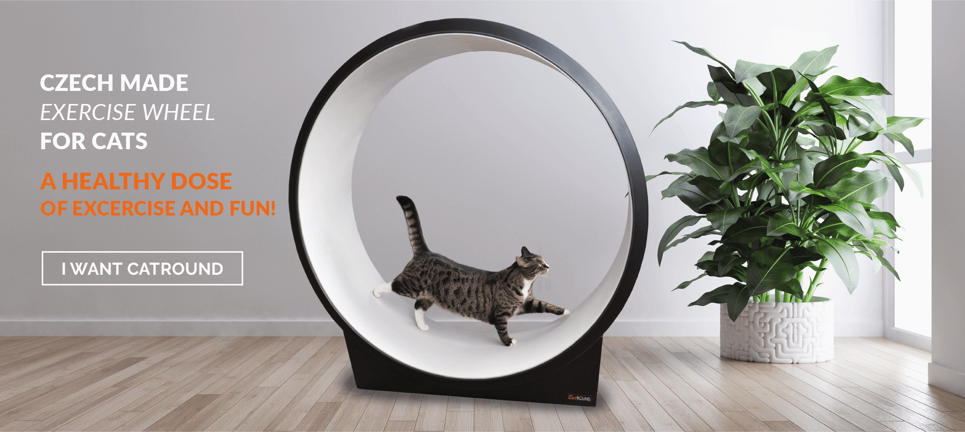 Czech made exercise wheel for cats
