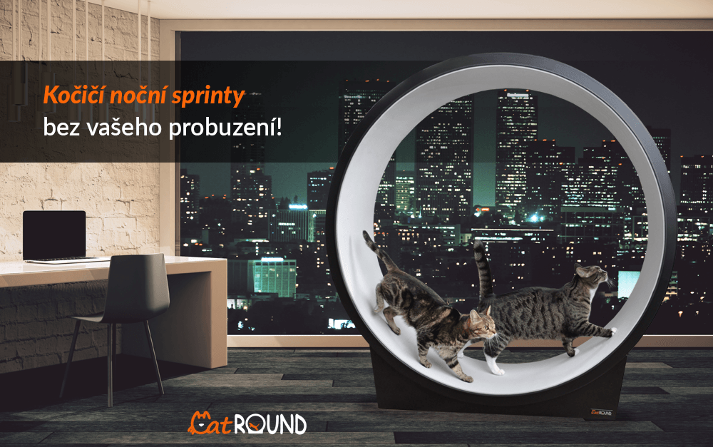 Catround-FB-1000x627-21-01-minimalni-hlucnost-final-x