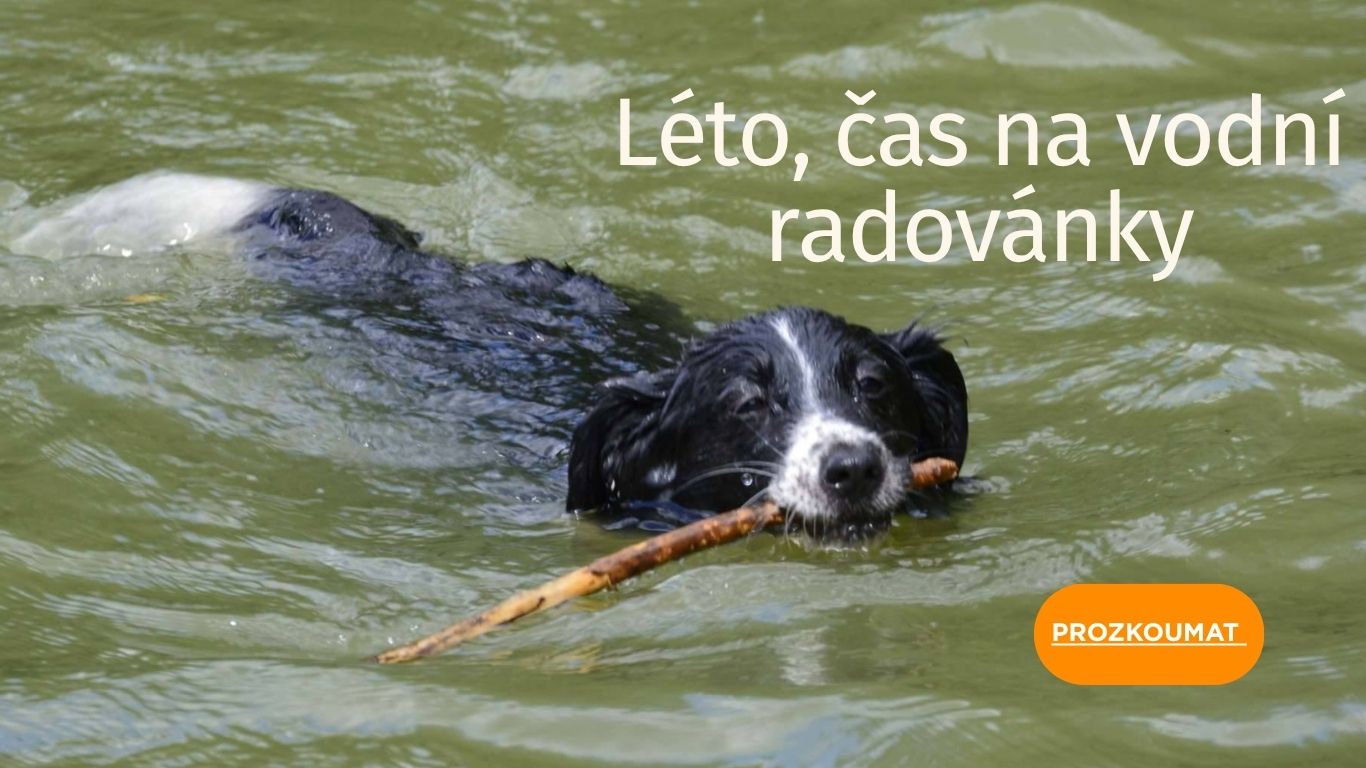 horké dny