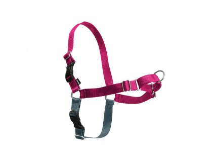 Postroj EasyWalk malinovy L 2909202214301978656